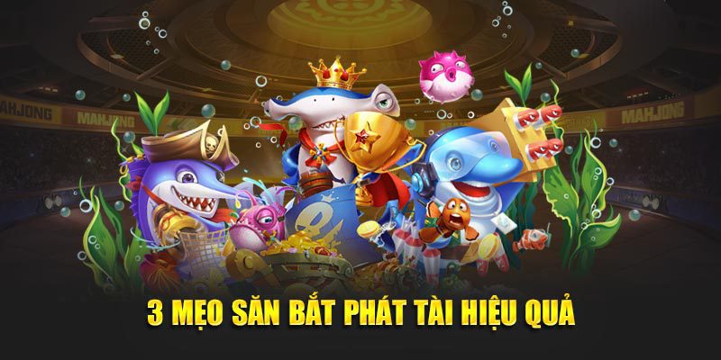 3 mẹo săn bắt phát tài hiệu quả