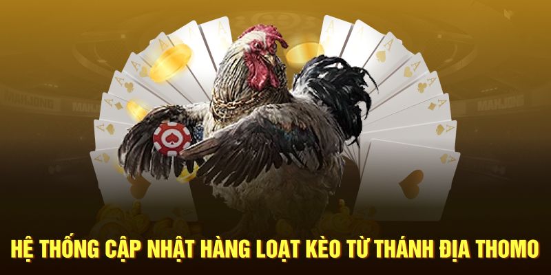 Hệ thống cập nhật hàng loạt kèo từ thánh địa Thomo