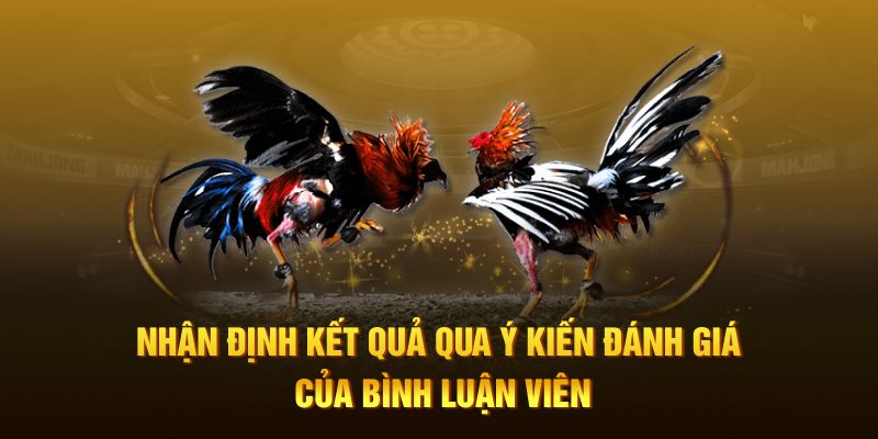 Nhận định kết quả qua ý kiến đánh giá của bình luận viên