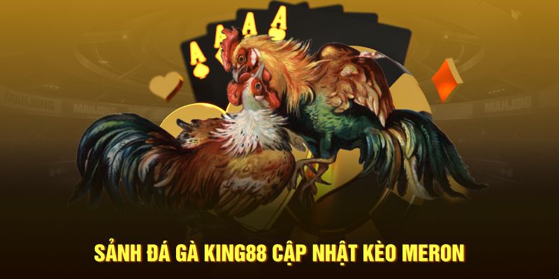 Sảnh đá gà King88 cập nhật kèo Meron