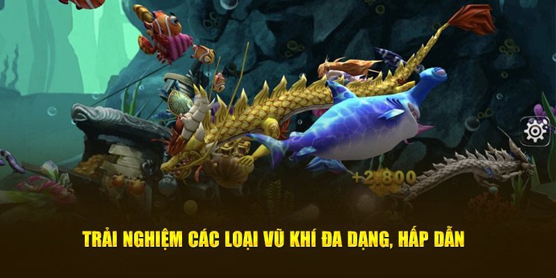 Trải nghiệm các loại vũ khí đa dạng, hấp dẫn