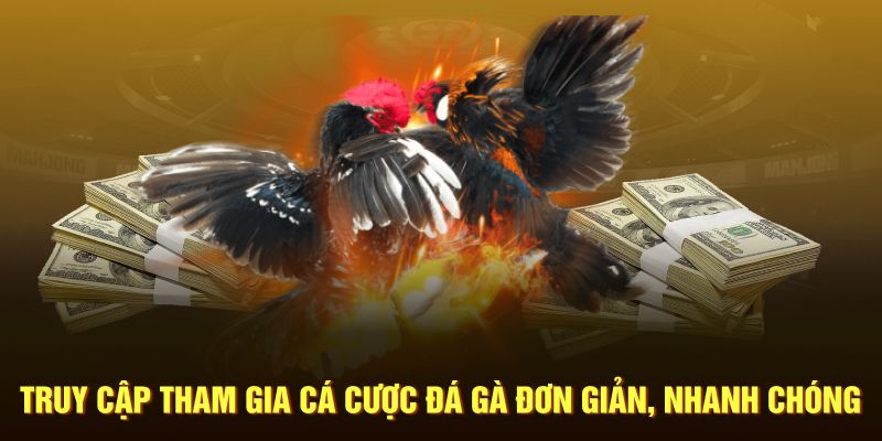 Truy cập tham gia cá cược đá gà đơn giản, nhanh chóng